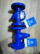 能够实现对水务管网的精