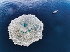 为基层创新的沃土增添更