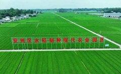 提升及管网建设项目-智慧